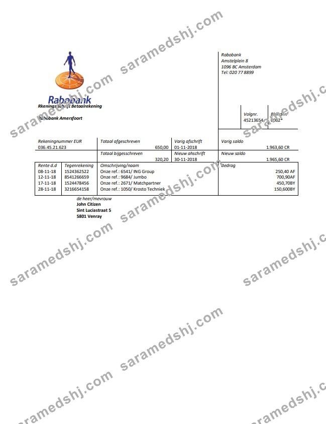 Netherlands Rabobank bank statement easy to fill template in Word and PDF format